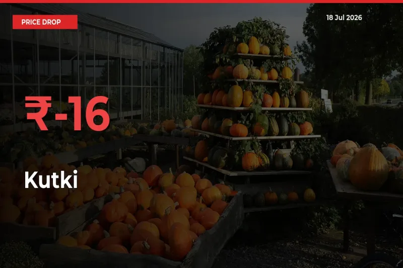 Kutki Prices Drop 16.31% in 24 Hours at Major Mandis