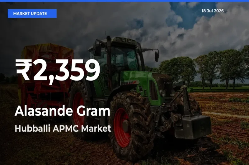 Why Alasande Gram Prices Slumped in Hubballi APMC – 30-Day Low Today