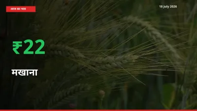 मखाना 22.39% उछला, मंडी