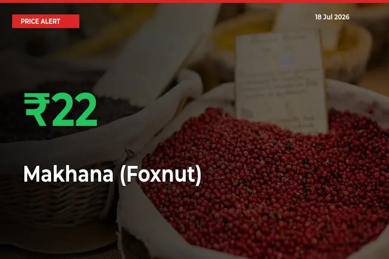 Why Makhana (Foxnut) Prices Rose 22.39% in a Day at Mandis