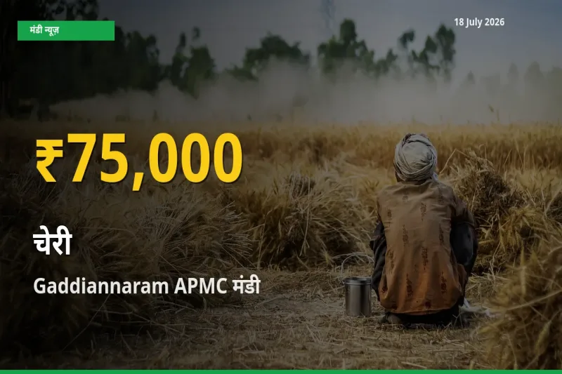 किसानों के लिए खुशखबरी! Gaddiannaram APMC में चेरी के दाम रिकॉर्ड स्तर पर