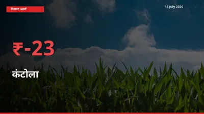 आज का मंडी भाव: कंटोला के दाम मंडी में 23.29% नीचे