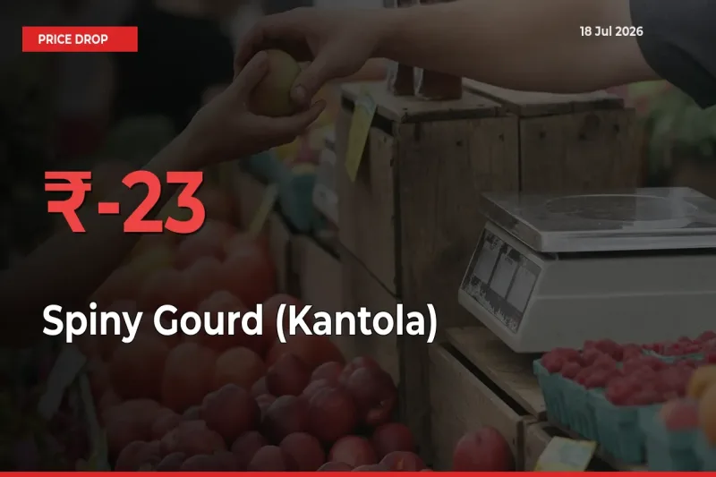 Sudden Shock! Spiny Gourd (Kantola) Drops 23.29% in 24 Hours at Top Mandis