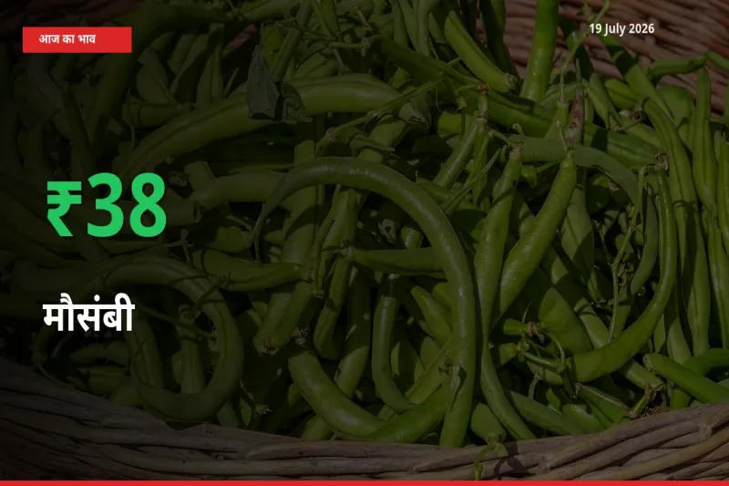 मौसंबी 37.56% उछला, मंडी