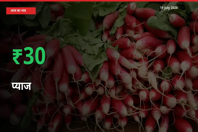 प्याज के दाम प्रमुख मंडी में 30.43% बढ़े, 24 घंटे में बड़ा बदलाव