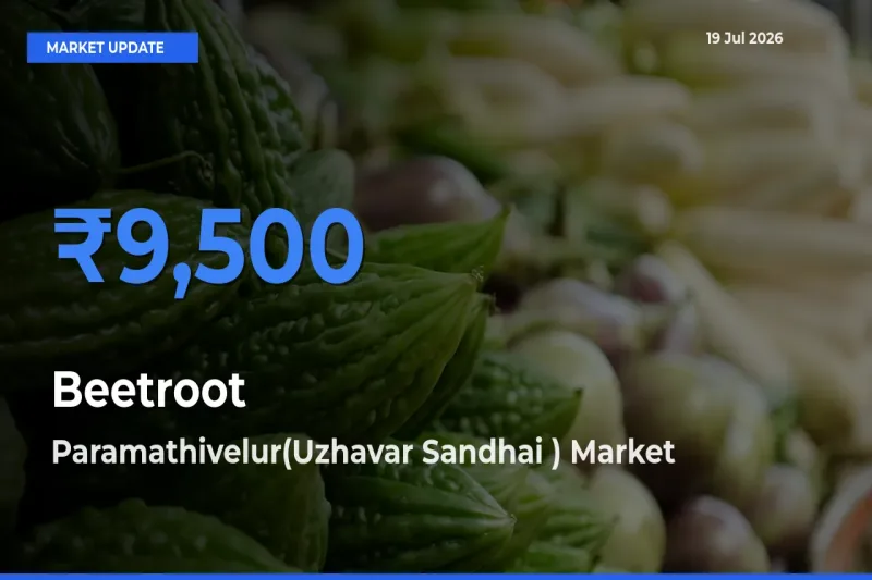 Paramathivelur(Uzhavar Sandhai ) Leads as Top Mandi for Beetroot Prices