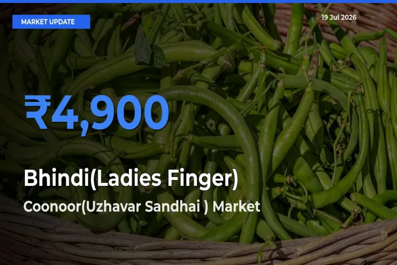 Coonoor(Uzhavar Sandhai ) Leads as Top Mandi for Bhindi(Ladies Finger) Prices