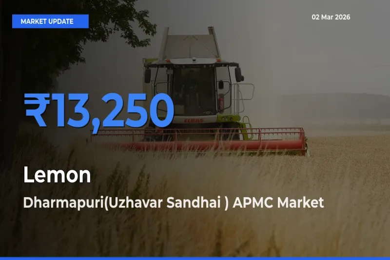 Dharmapuri(Uzhavar Sandhai ) APMC Leads as Top Mandi for Lemon Prices