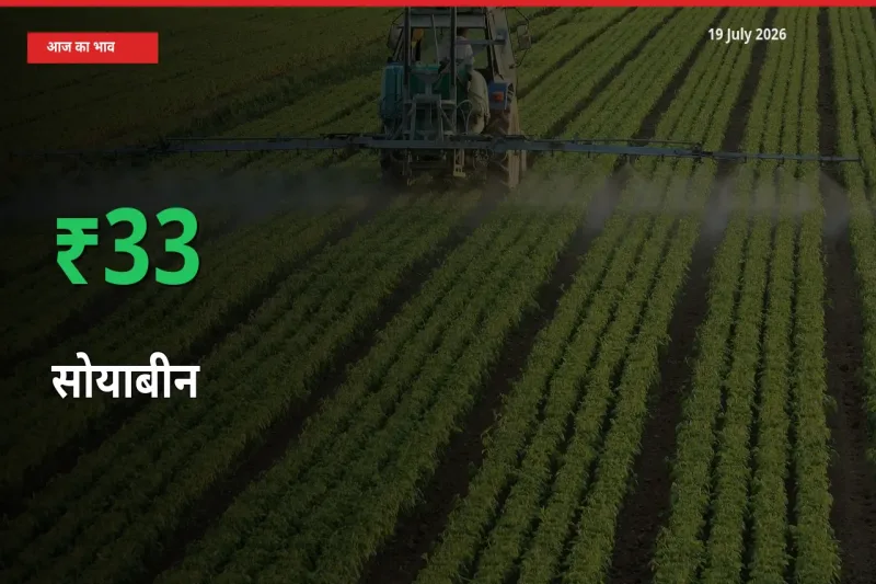 बाज़ार संकेत: सोयाबीन के भाव मंडी में 32.86% ऊपर