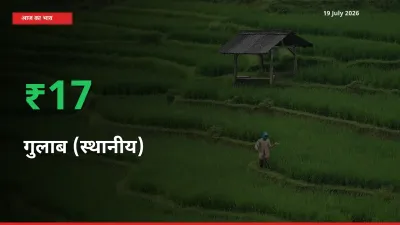 गुलाब (स्थानीय) 17.26% उछला, मंडी