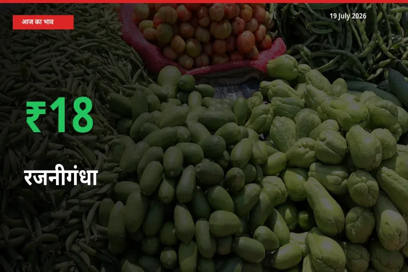 19 July अपडेट: रजनीगंधा के दाम मंडी में 17.74% उछले