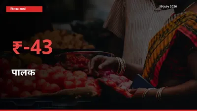 किसानों की चिंता बढ़ी! स्थानीय मंडी में पालक 43.07% गिरा