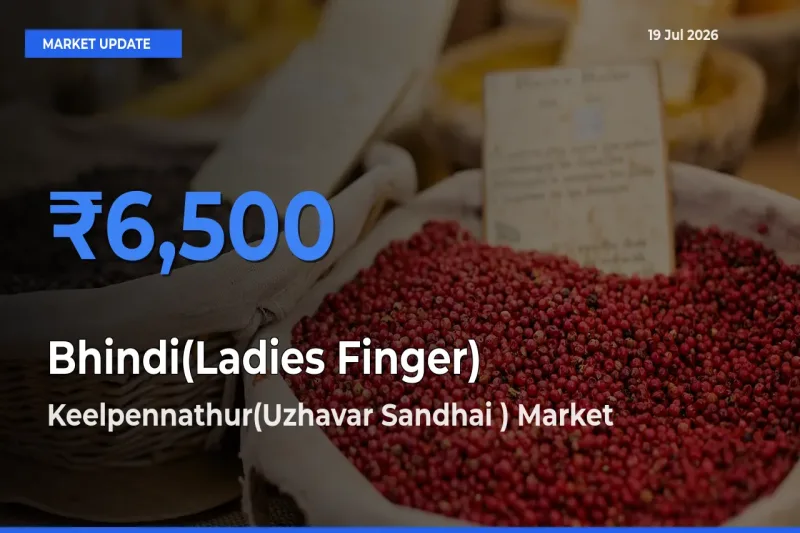 Keelpennathur(Uzhavar Sandhai ) Tops Bhindi(Ladies Finger) Mandi Rates Today