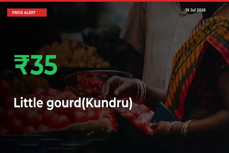 Little gourd(Kundru) Mandi Rate Today: Prices Jump 34.61% at Market