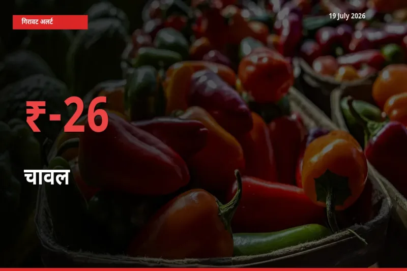 26.39% की गिरावट! मंडी में चावल के दाम अचानक टूटे