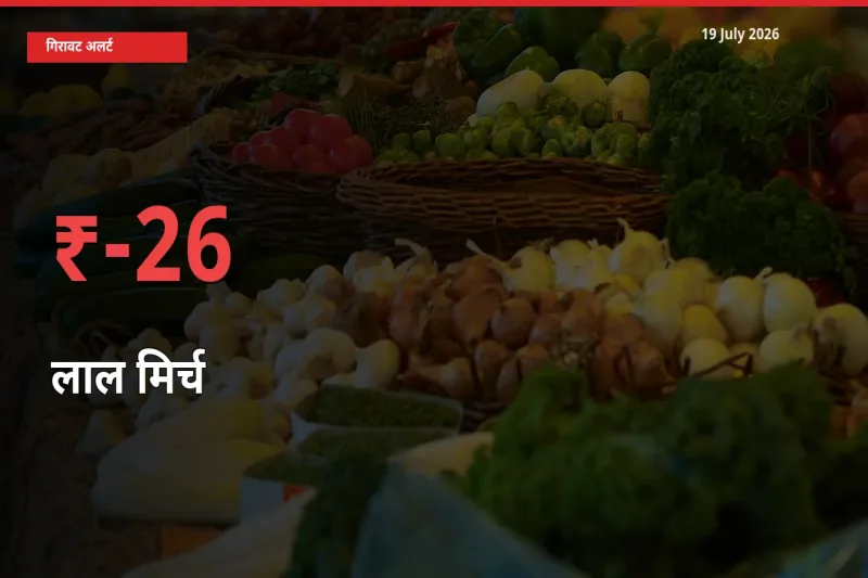 25.66% की गिरावट! मंडी में लाल मिर्च के दाम अचानक टूटे