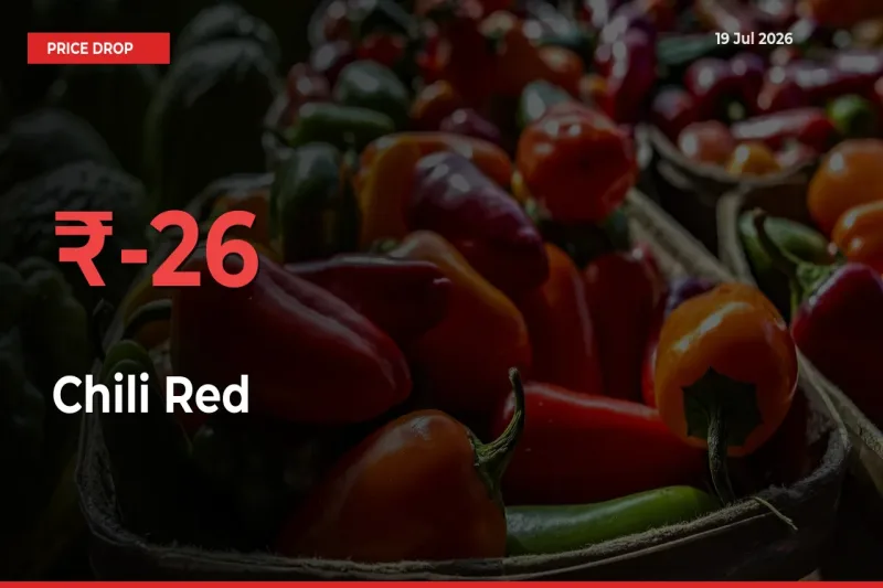 Why Chili Red Prices Fell 25.66% in a Day at Mandis