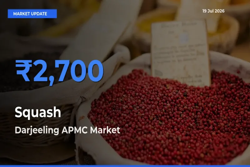 Market Watch: Darjeeling APMC Becomes Top Mandi for Squash