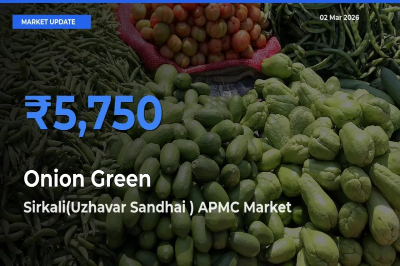 Sirkali(Uzhavar Sandhai ) APMC Tops Onion Green Mandi Rates Today