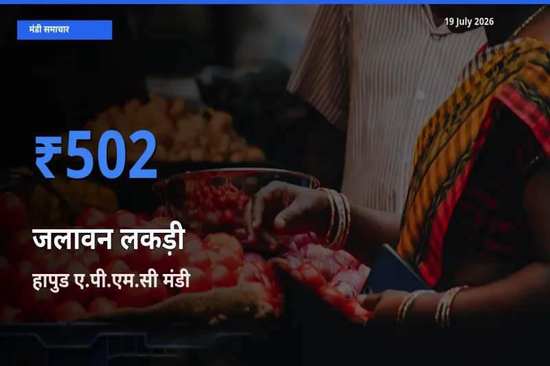 आज का मंडी भाव: जलावन लकड़ी के सबसे ज़्यादा दाम हापुड ए.पी.एम.सी में