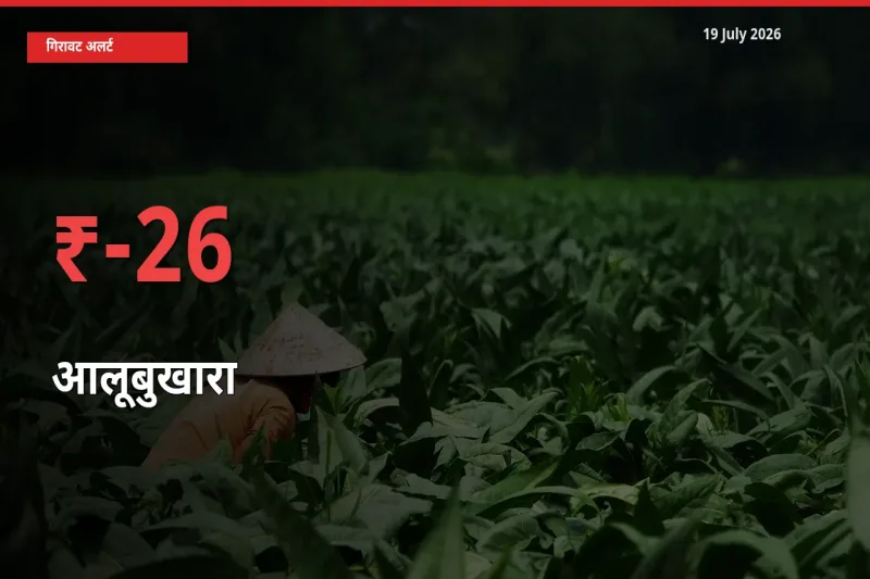 बाज़ार संकेत: आलूबुखारा के भाव मंडी में 25.83% नीचे