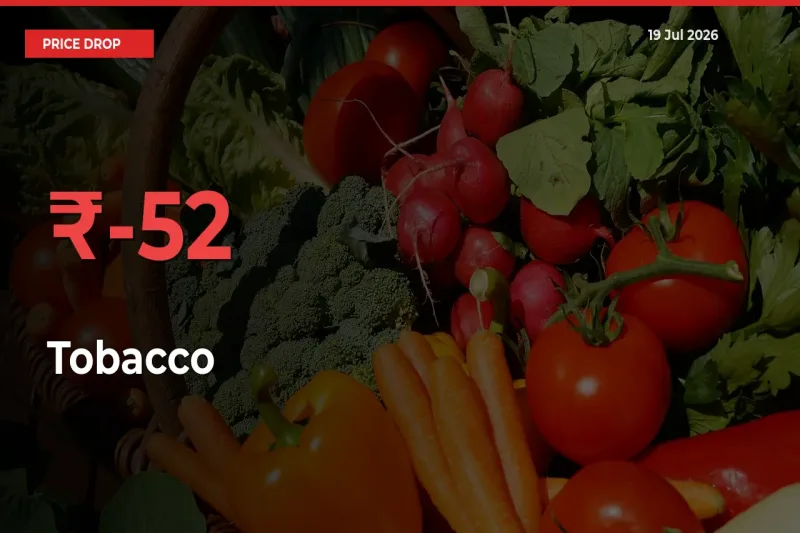 Why Tobacco Prices Fell 51.56% in a Day at Mandis