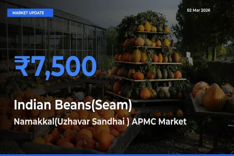 Namakkal(Uzhavar Sandhai ) APMC Records Highest ₹7,500 Rate for Indian Beans(Seam)