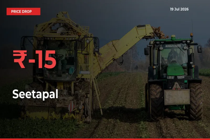 Seetapal Mandi Rate Today: Prices Fall 15% at Market