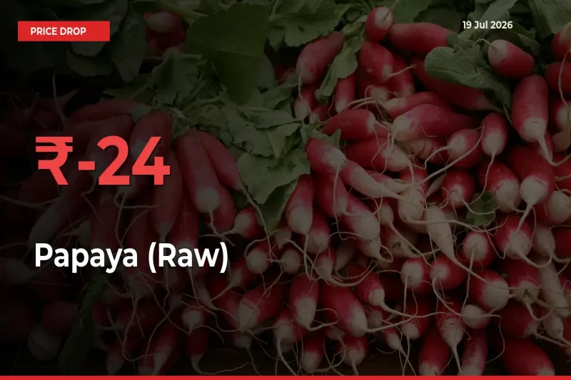 Papaya (Raw) Prices Drop 24.2% in 24 Hours at Major Mandis