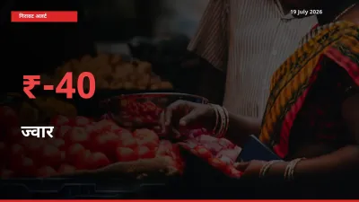 अचानक झटका! मंडी में ज्वार के दाम 40.1% टूटे
