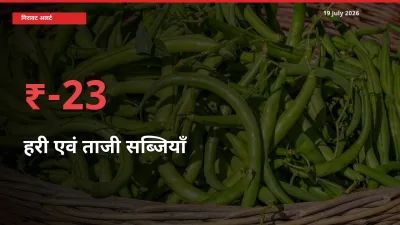 अचानक झटका! मंडी में हरी एवं ताजी सब्जियाँ के दाम 23.33% टूटे