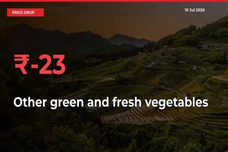 Why Other green and fresh vegetables Prices Fell 23.33% in a Day at Mandis