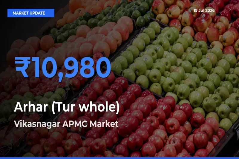 Vikasnagar APMC Emerges as Top Mandi for Arhar (Tur whole) Prices Today
