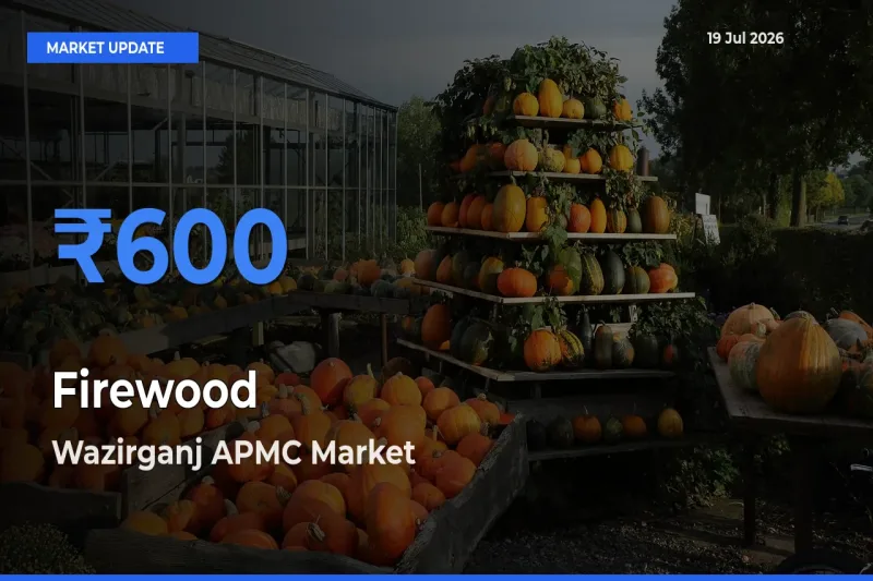 Firewood Mandi Rate Today: Wazirganj APMC Tops the List