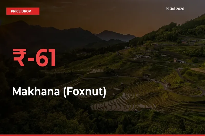 Makhana (Foxnut) Falls 61.43% at Mandis