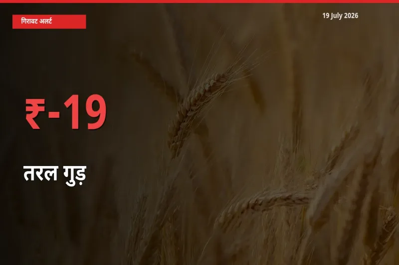 अचानक झटका! मंडी में तरल गुड़ के दाम 18.77% टूटे
