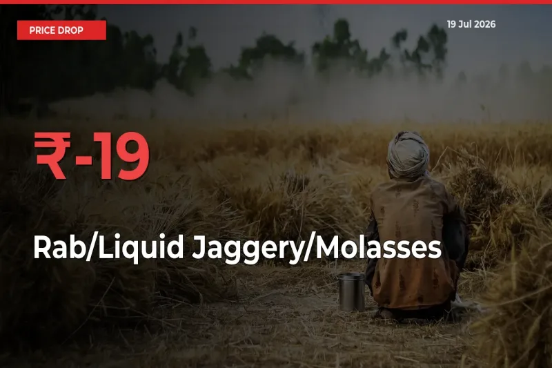 This Mandi Records 18.77% Fall in Rab/Liquid Jaggery/Molasses Prices