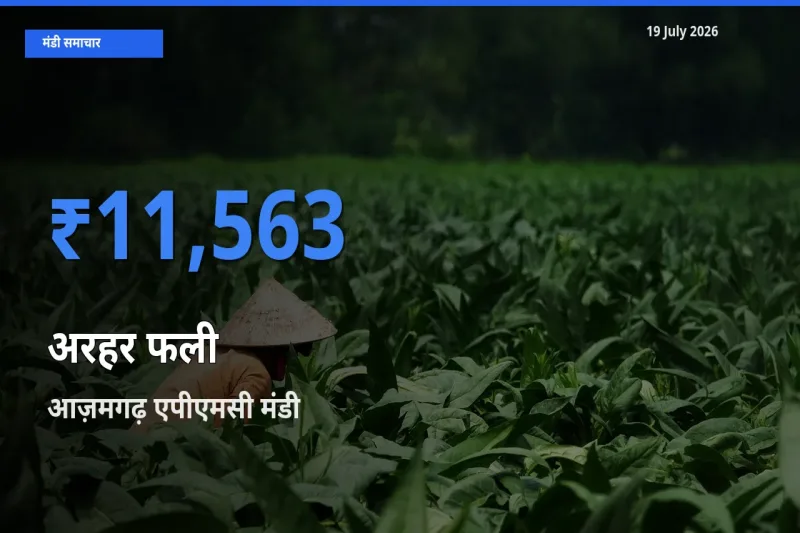 बाज़ार संकेत: आज़मगढ़ एपीएमसी बना अरहर फली के लिए आज की टॉप मंडी