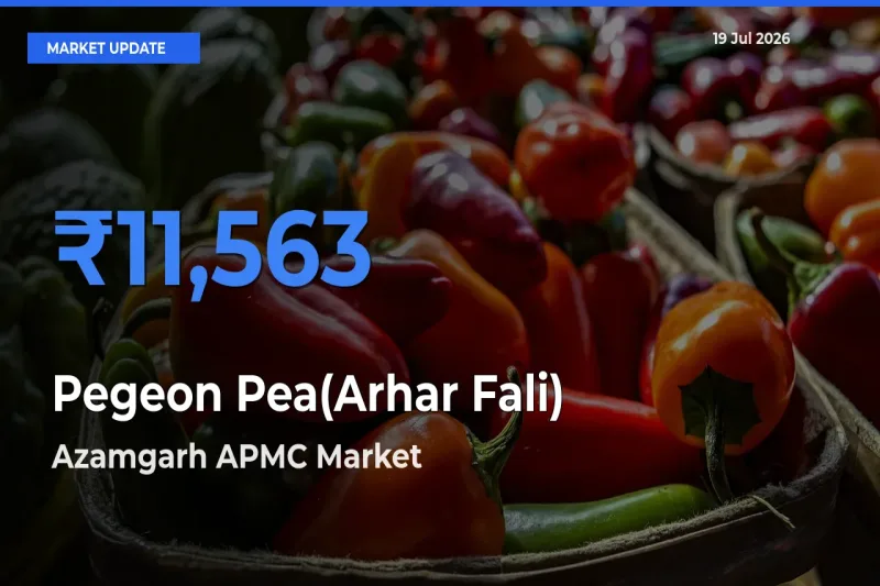 Azamgarh APMC Records Highest ₹11,563 Rate for Pegeon Pea(Arhar Fali)