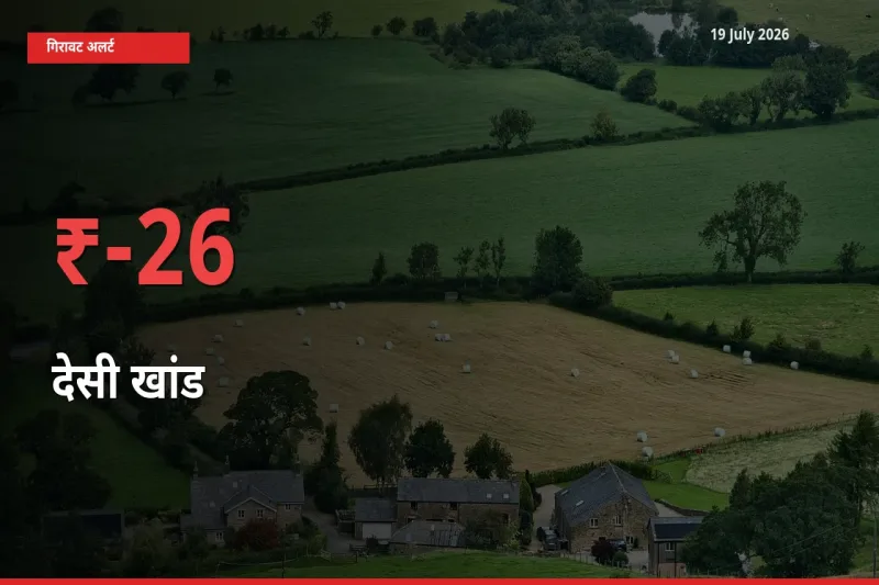अचानक झटका! मंडी में देसी खांड के दाम 25.67% टूटे