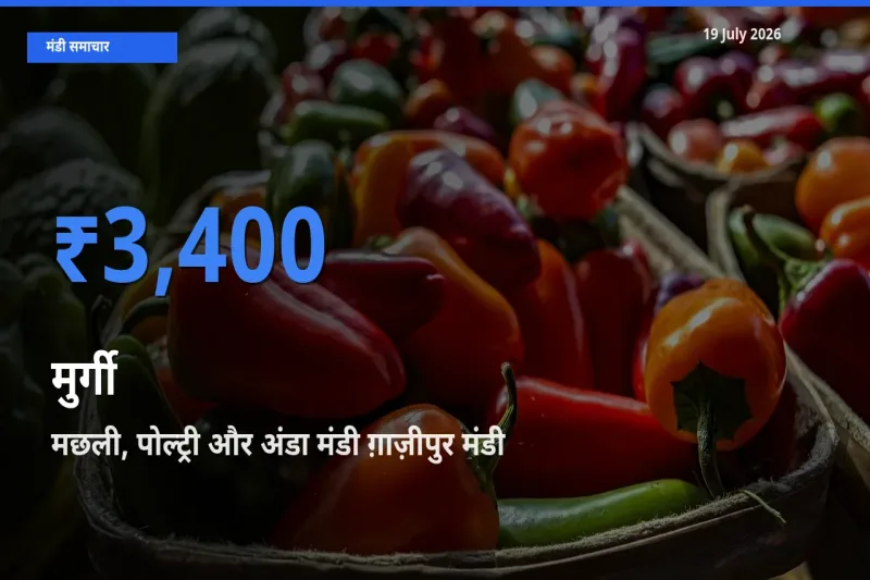 मछली, पोल्ट्री और अंडा मंडी ग़ाज़ीपुर में मुर्गी का आज सबसे ऊँचा भाव