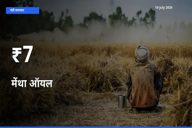 मेंथा ऑयल के दामों का असर कई मंडियों में, बाज़ार दिशा स्पष्ट