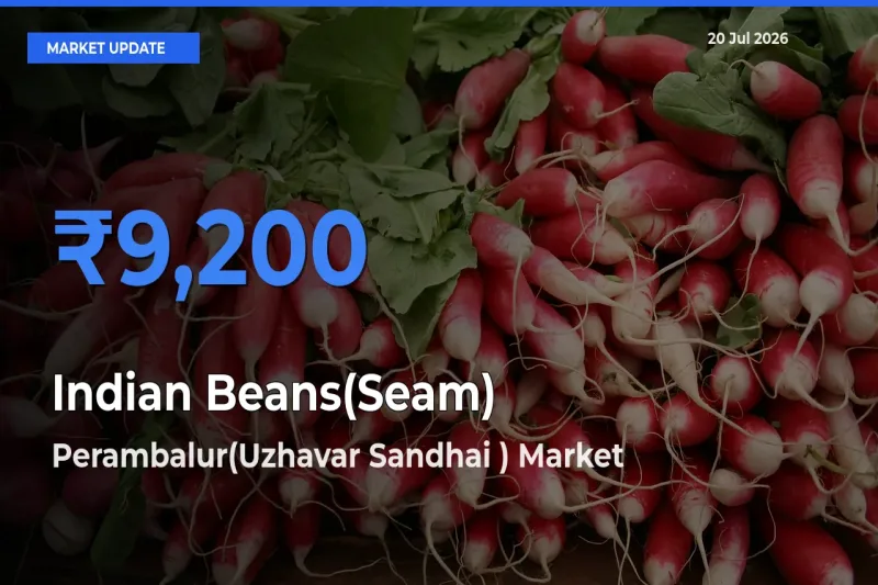 Farmers Prefer Perambalur(Uzhavar Sandhai ) as Indian Beans(Seam) Hits Highest Rate