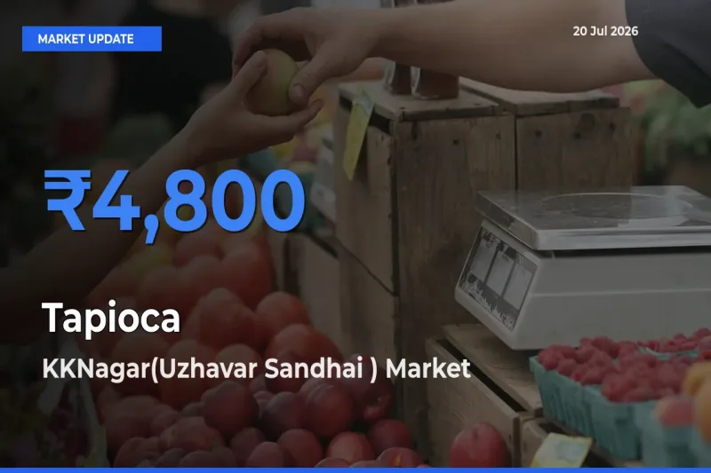 Farmers Prefer KKNagar(Uzhavar Sandhai ) as Tapioca Hits Highest Rate