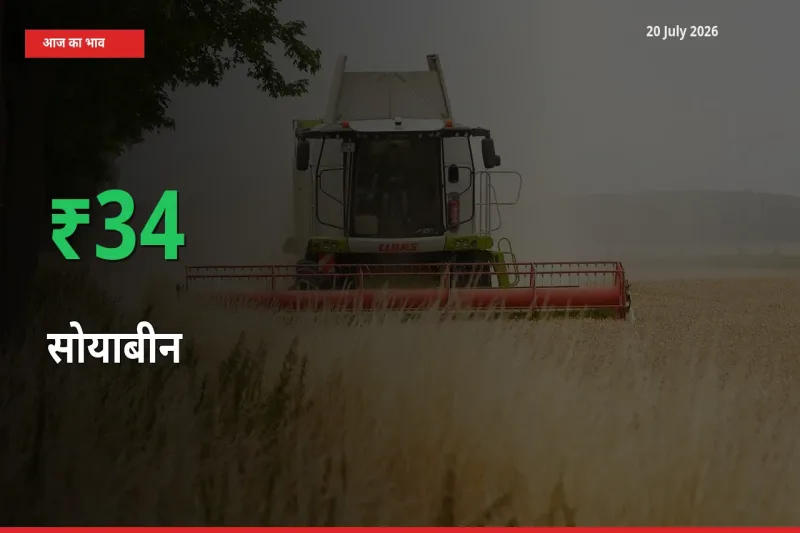 आज का मंडी भाव: सोयाबीन के दाम मंडी में 33.95% ऊपर
