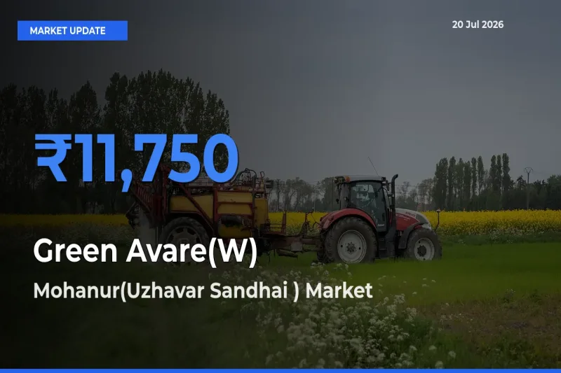 Mohanur(Uzhavar Sandhai ) Emerges as Top Mandi for Green Avare(W) Prices Today