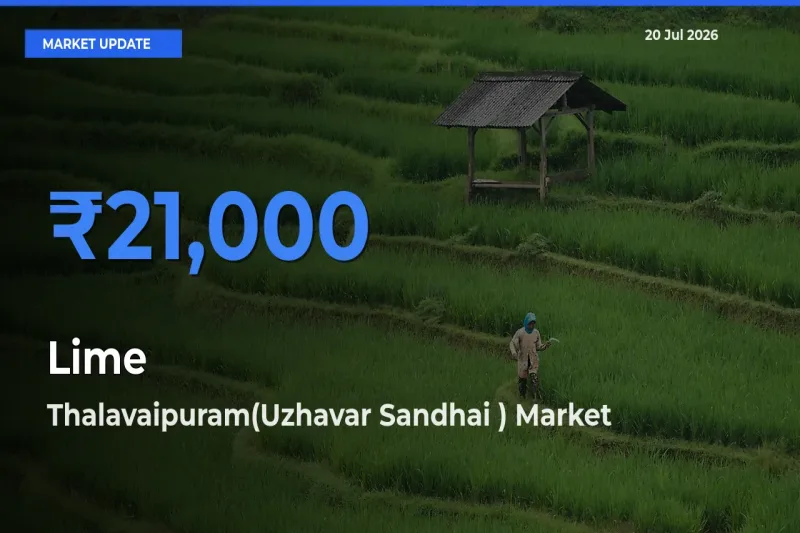 Thalavaipuram(Uzhavar Sandhai ) Records Highest ₹21,000 Rate for Lime