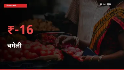 20 July अपडेट: चमेली के दाम मंडी में 15.72% गिरे