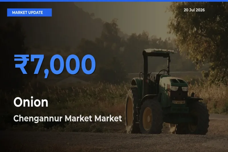 Chengannur Market Tops Onion Rates – July 20 Market Update
