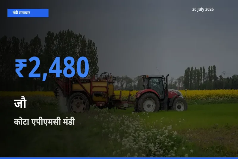 आज का मंडी भाव: जौ के सबसे ज़्यादा दाम कोटा एपीएमसी में